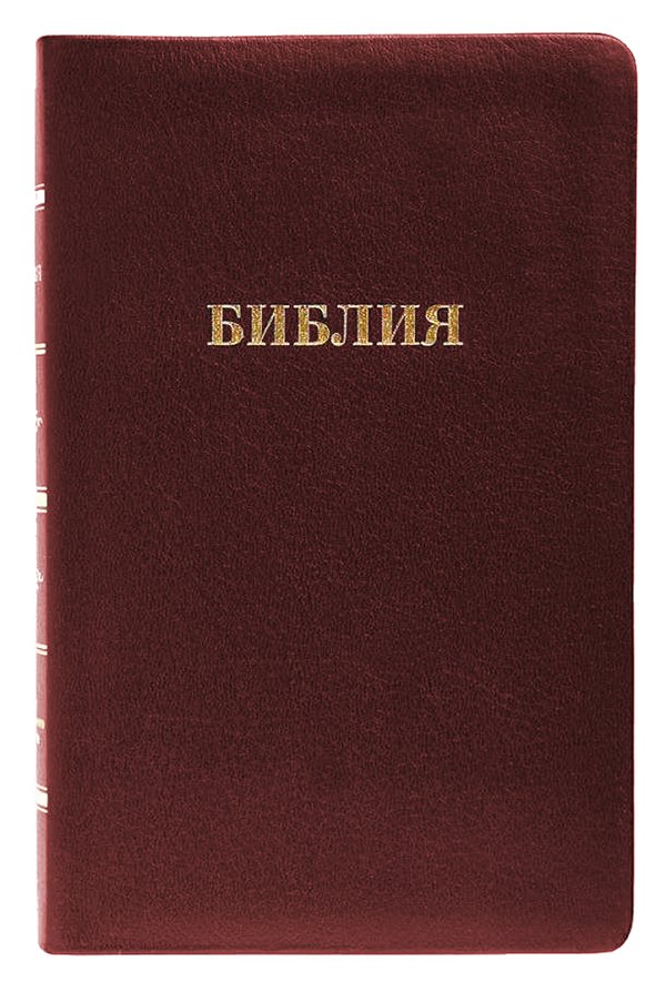 Библия в синодальном переводе 056 MZG ИИЖ среднего формата на молнии (бордовый Bordeaux)