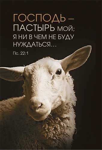 Магнит 115 «Господь – Пастырь мой; я ни в чем не буду нуждаться» Магнит 115 «Господь – Пастырь мой; я ни в чем не буду нуждаться»