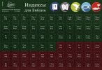 Индексы для Библии тёмно-зелёный/бордо