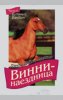 Винни-наездница. Книга 8. Буланый Бандит