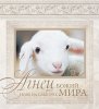 Блокнот 035-б «Агнец Божий взял на себя грех мира»